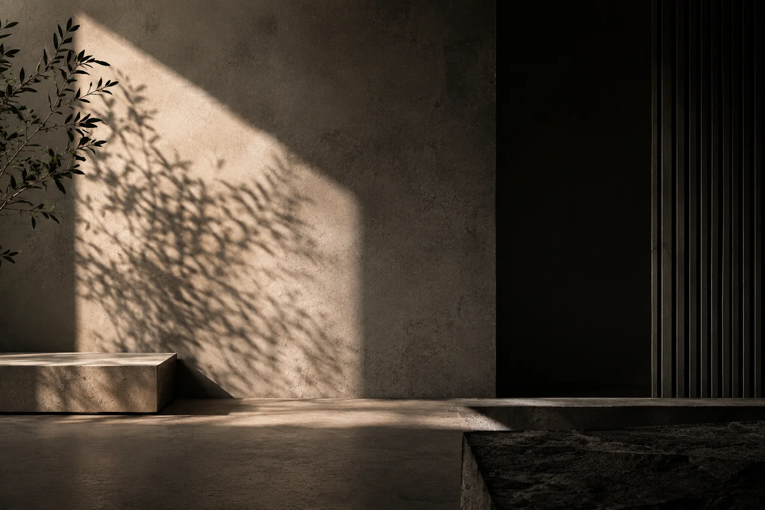 Architectural shadow and foliage across a warm textured wall